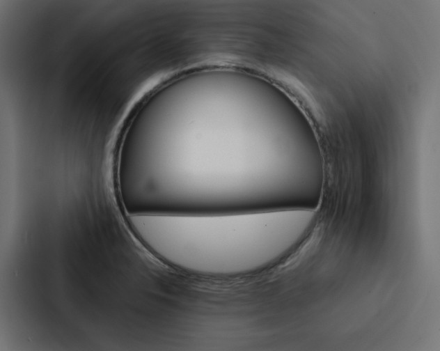 X0000088191326200705150951