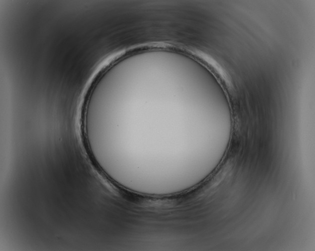 X0000088191327200705150951