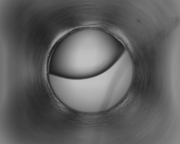 X0000088191328200705150951