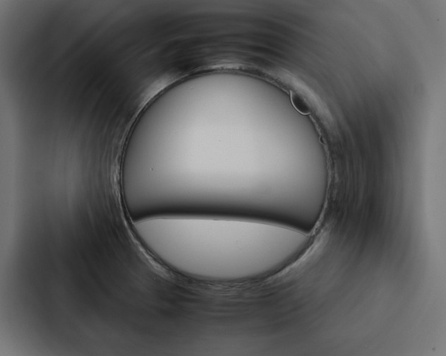 X0000088191329200705150951