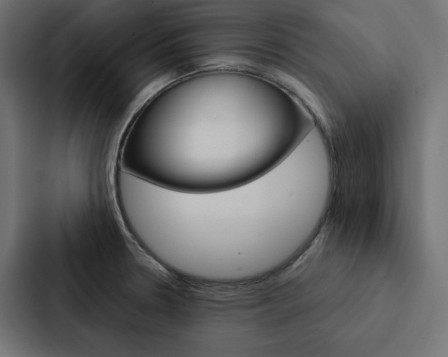 X0000088191330200705150951