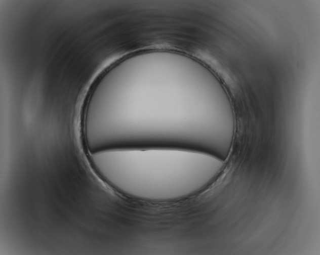 X0000088191331200705150951
