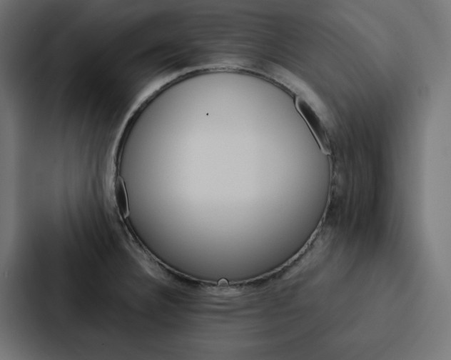 X0000088191332200705150952