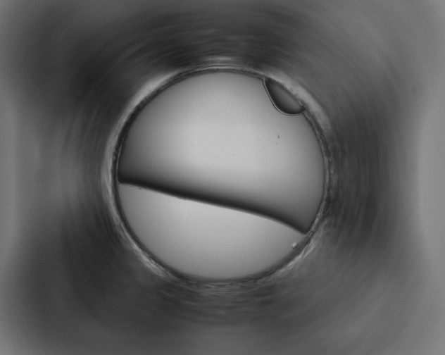 X0000088191333200705150952