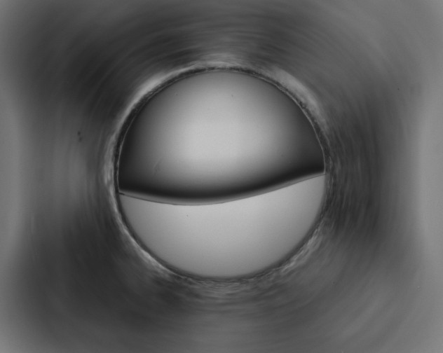 X0000088191334200705150952