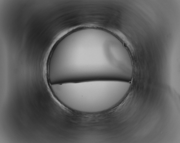X0000088191335200705150952