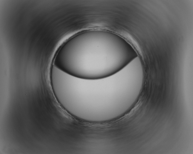 X0000088191336200705150952