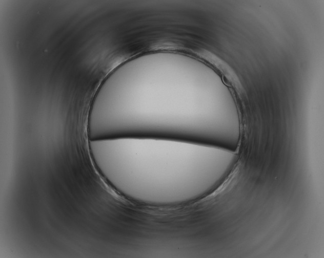 X0000088191337200705150952