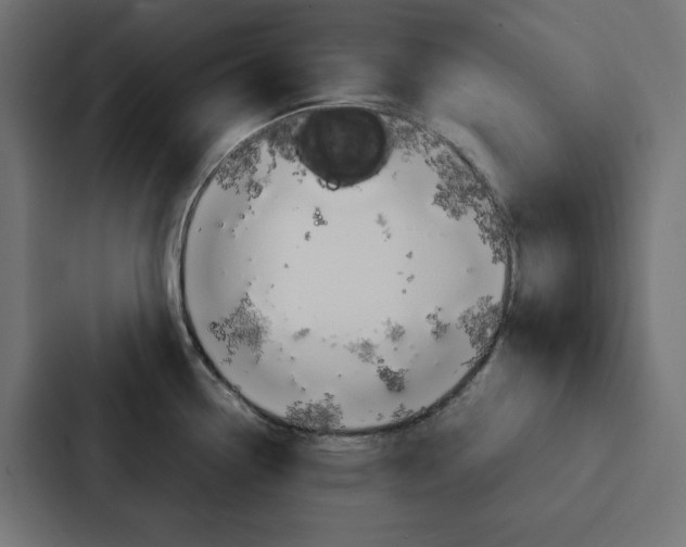 X0000088191338200705150952