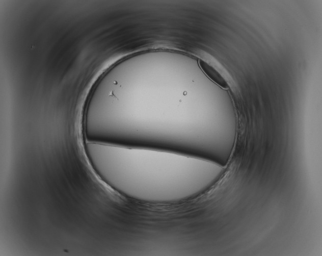 X0000088191339200705150952