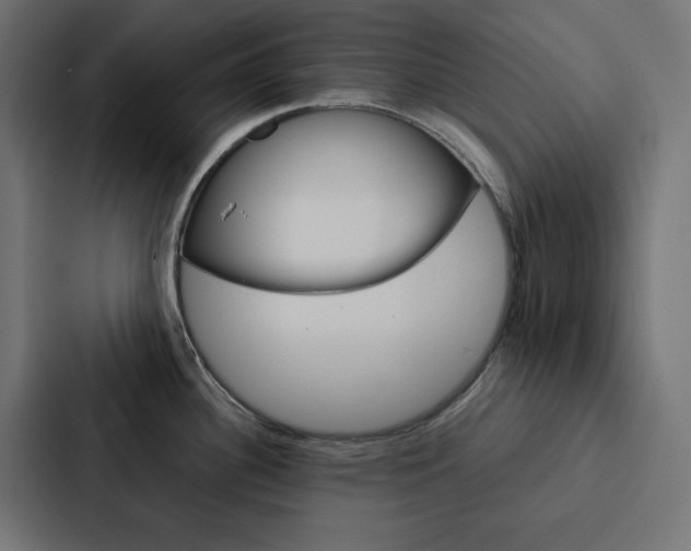 X0000088191340200705150952