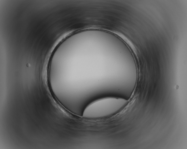 X0000088191341200705150952