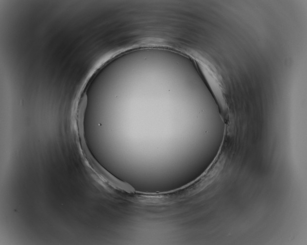 X0000088191342200705150952
