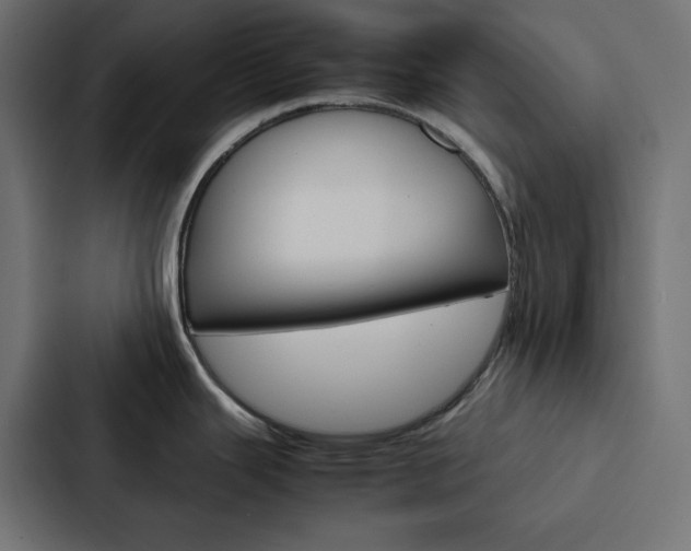 X0000088191343200705150952