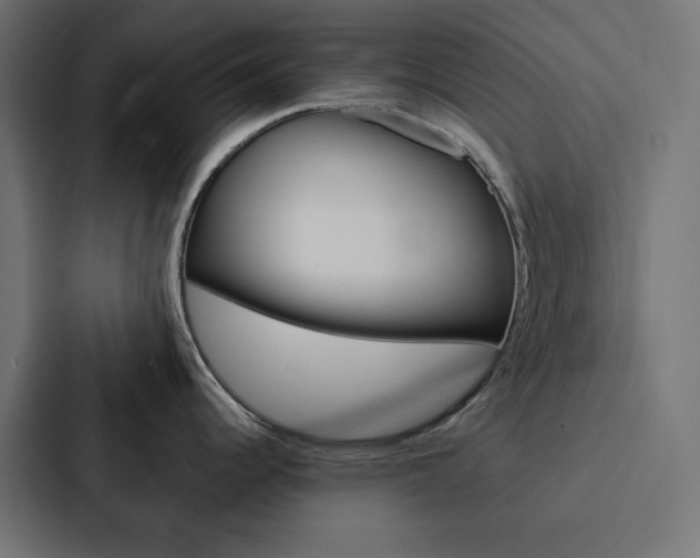 X0000088191344200705150952