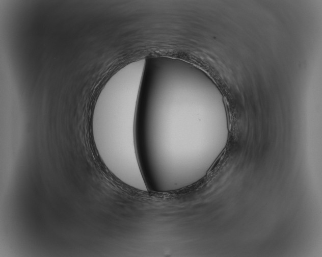 X0000088191345200705150951