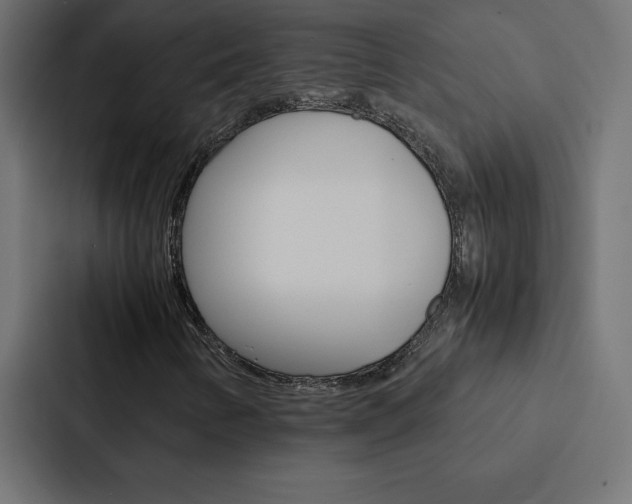 X0000088191346200705150951