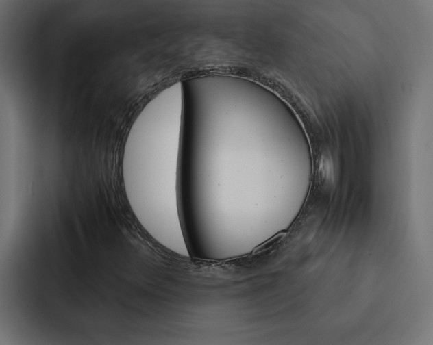 X0000088191348200705150951