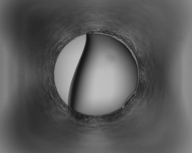 X0000088191349200705150951