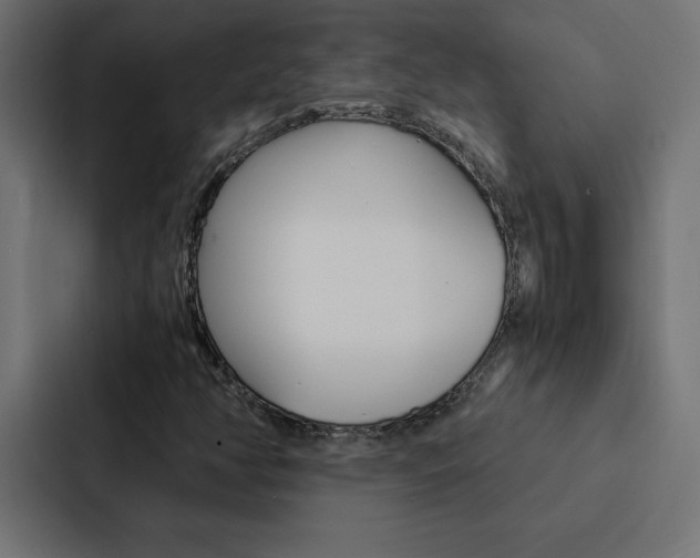 X0000088191350200705150951