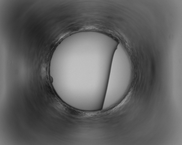 X0000088191353200705150951