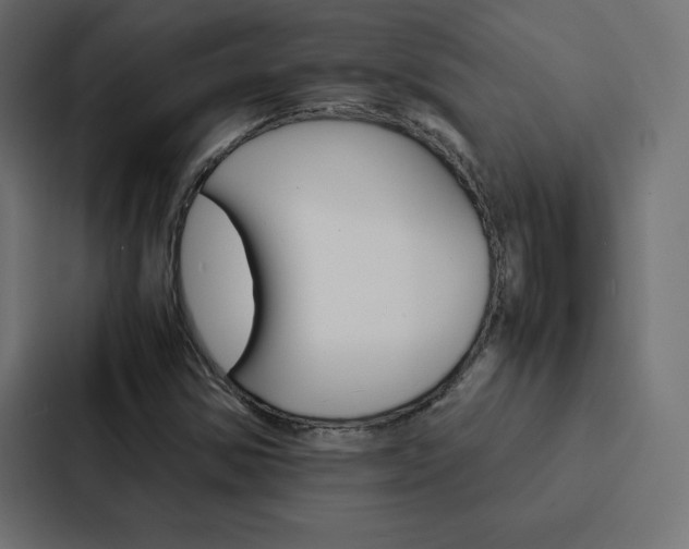 X0000088191354200705150951