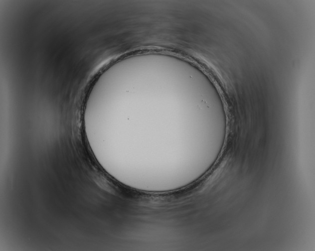X0000088191355200705150951