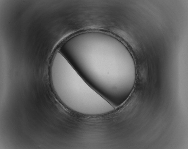 X0000088191356200705150951