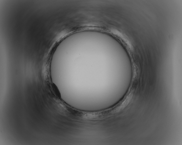 X0000088191357200705150951
