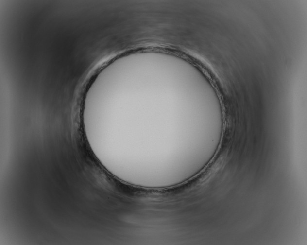 X0000088191359200705150951