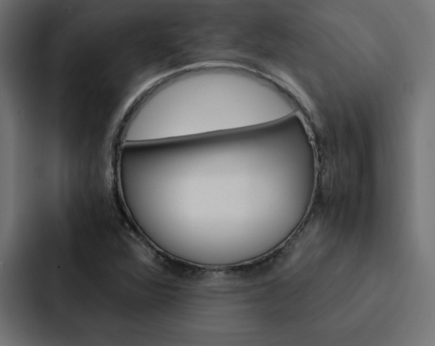 X0000088191360200705150951