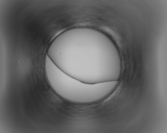 X0000088191361200705150951