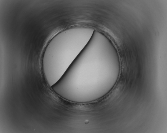 X0000088191362200705150951