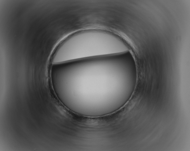 X0000088191364200705150951