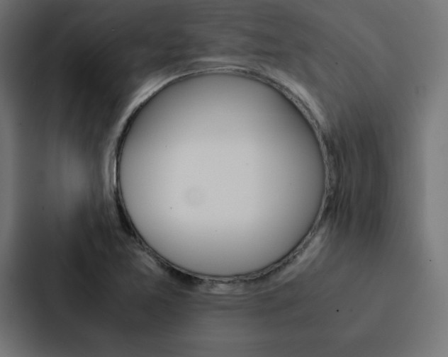 X0000088191365200705150951