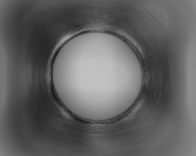 X0000088191366200705150951