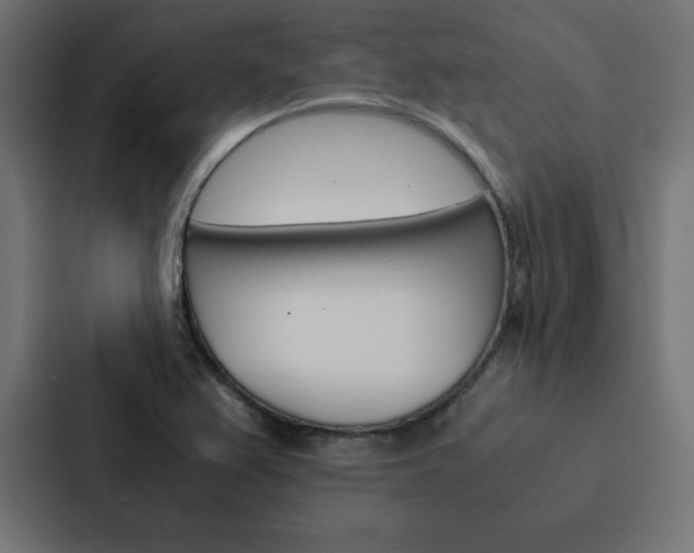 X0000088191367200705150951