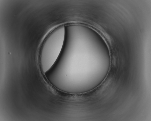 X0000088191368200705150951