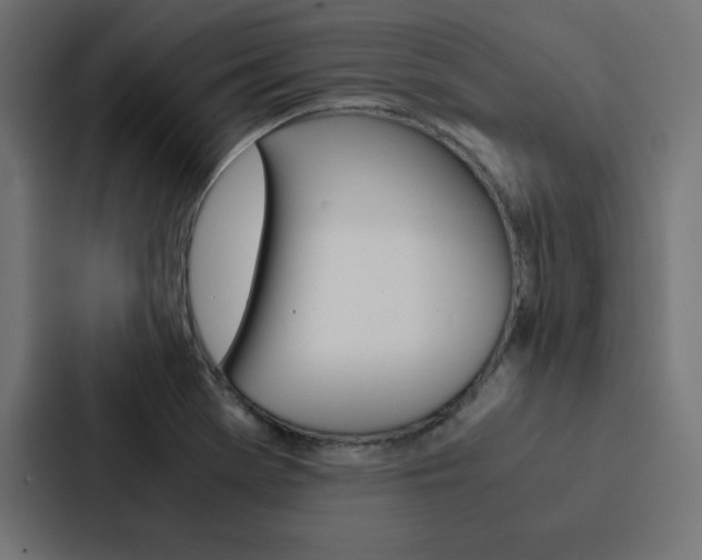 X0000088191369200705150951