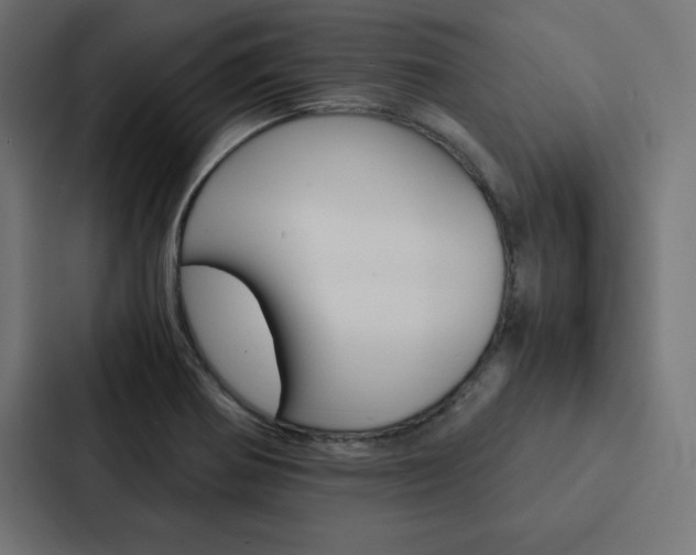 X0000088191370200705150951