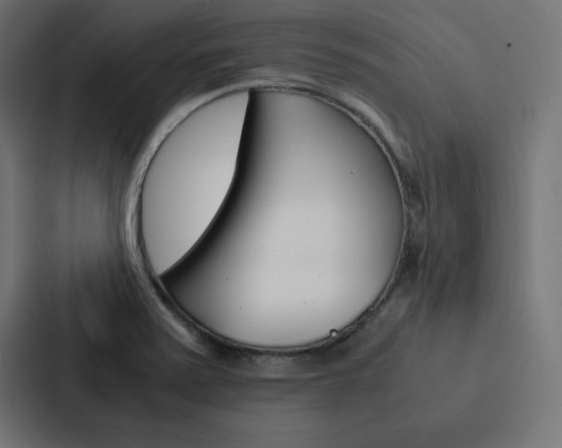 X0000088191371200705150951