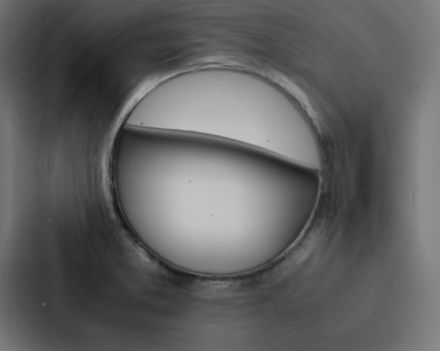 X0000088191373200705150951