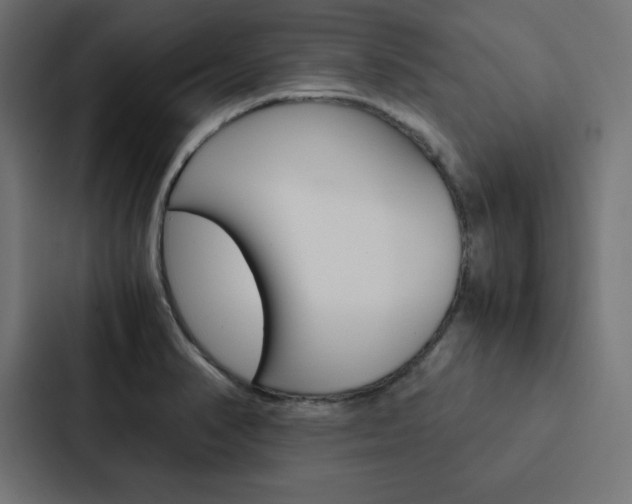 X0000088191374200705150951