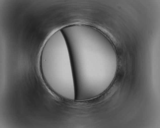 X0000088191375200705150951