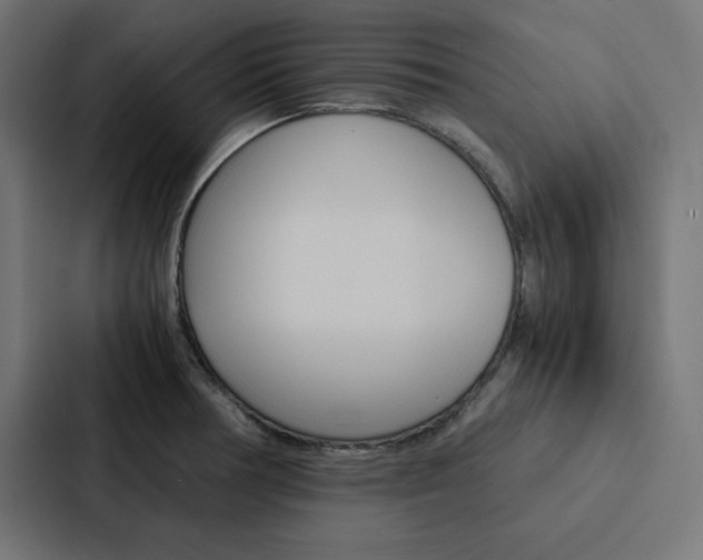 X0000088191378200705150951