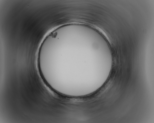 X0000088191379200705150951