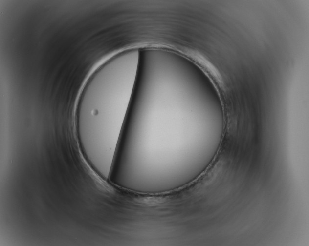 X0000088191380200705150951