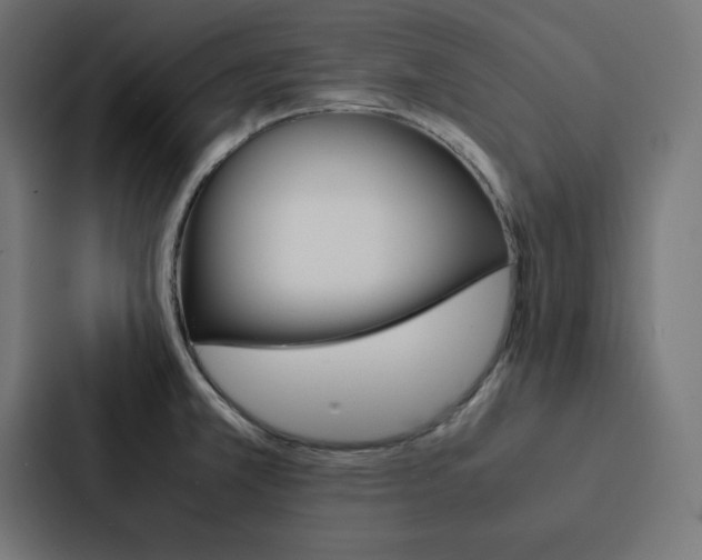 X0000088191381200705150951