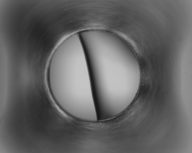 X0000088191383200705150951