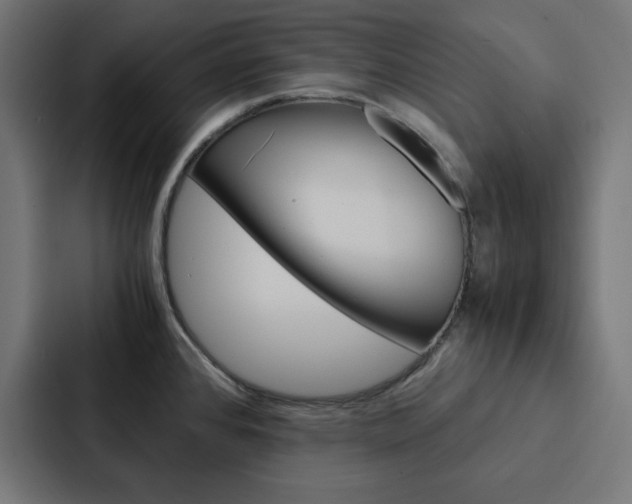 X0000088191384200705150951